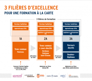 Schéma des 3 filières du cursus d'ingénieur à SupOptique