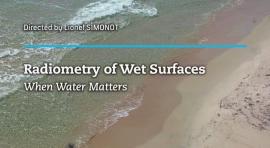 "RADIOMETRY OF WET SURFACES - When Water Matters", dir. L. Simonot, collec. IOGS Textbook, EDP Sciences